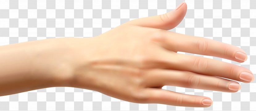 Thumb Woman Hand Clip Art - Arm - Apricot Clipart Transparent PNG