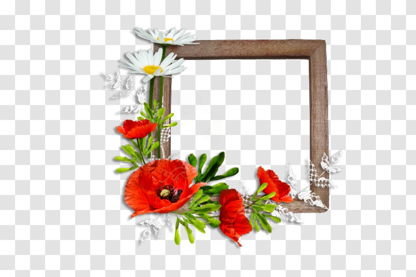 Picture Frames Flower Common Poppy Floral Design Transparent PNG