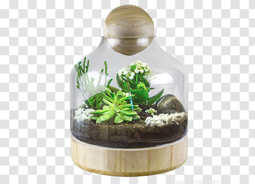 Terrarium Glass Bell Jar Cloche Container - Garden Transparent PNG