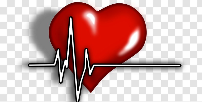 Cardiology Heart Arrhythmia Clip Art - Flower - Attack Transparent PNG
