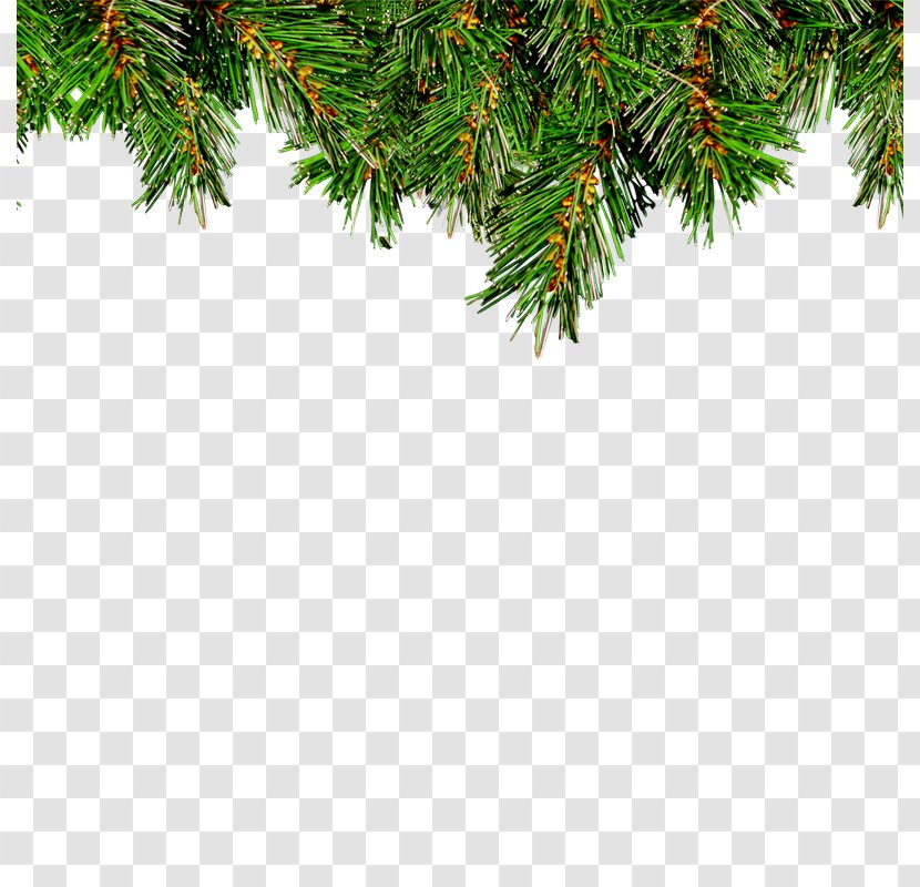 Christmas Tree Leaf Ornament - Pine Transparent PNG