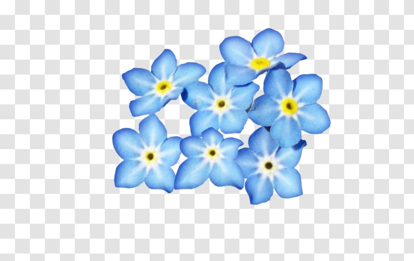 Blue Flower Petal Clip Art - Forget Me Not Transparent PNG