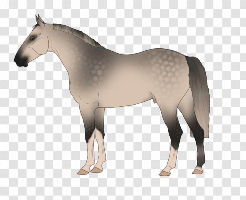 Mustang Stallion Rein Horse Harnesses Halter - Mane Transparent PNG