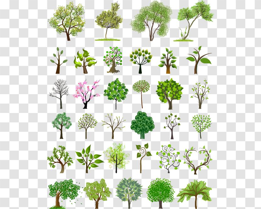 Tree Euclidean Vector Illustration - Cdr Transparent PNG