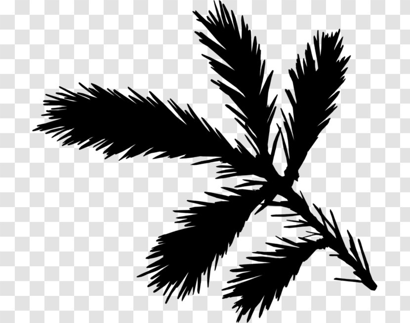 Palm Trees Black & White - Botany - M Silhouette Leaf Transparent PNG