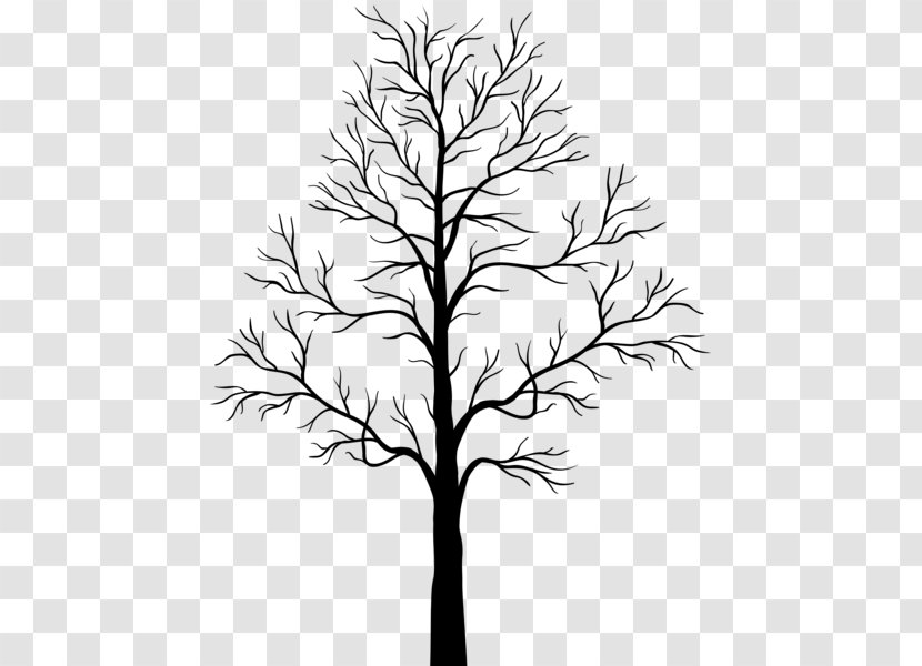 Tree Branch Silhouette Clip Art - Drawing Transparent PNG