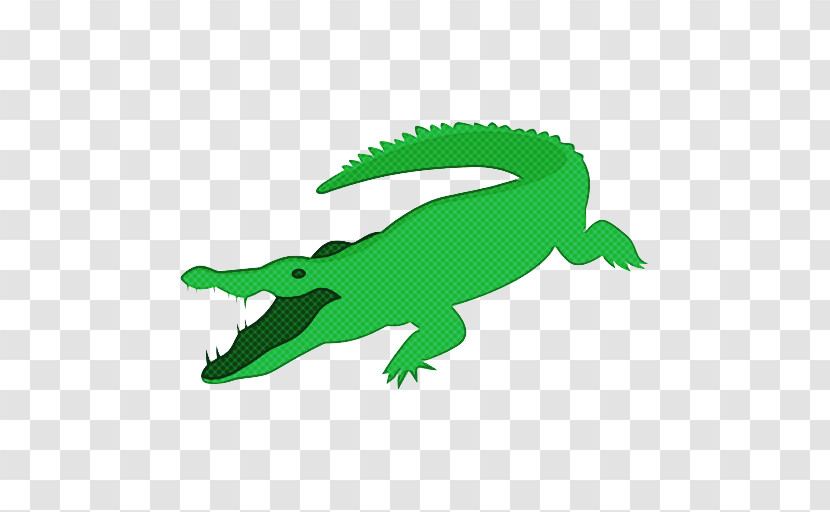 Crocodilia Crocodile Alligator Reptile Green Transparent PNG