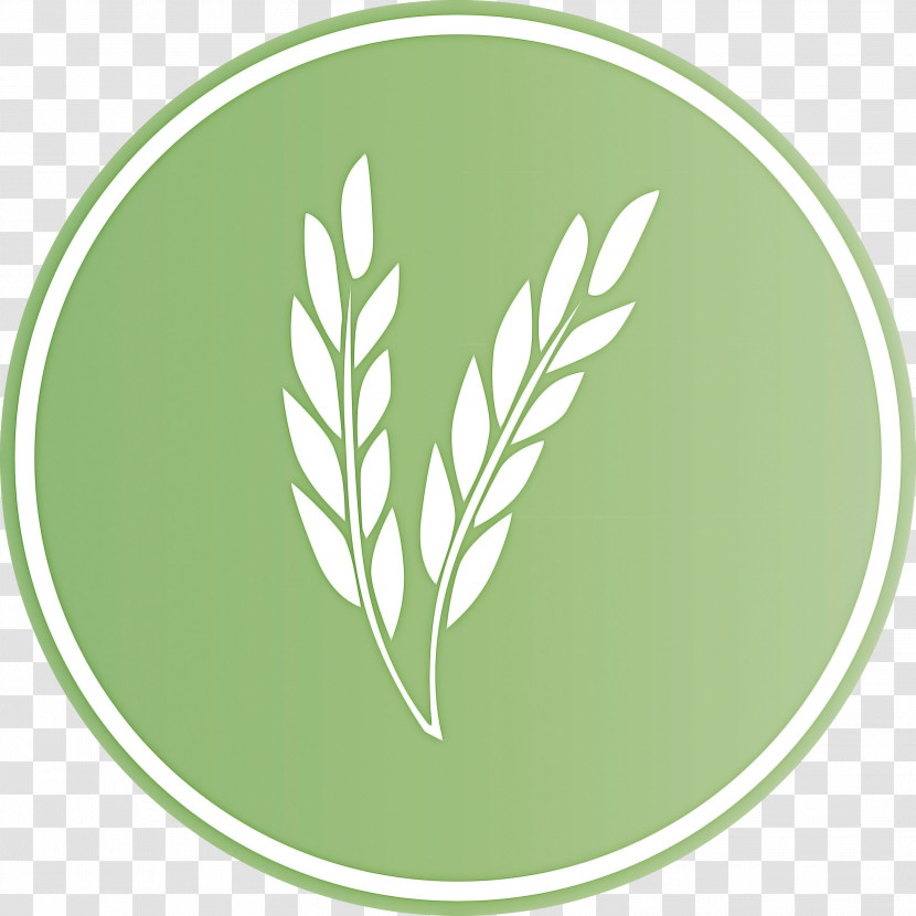 Oats Wheat Oats Logo Transparent PNG