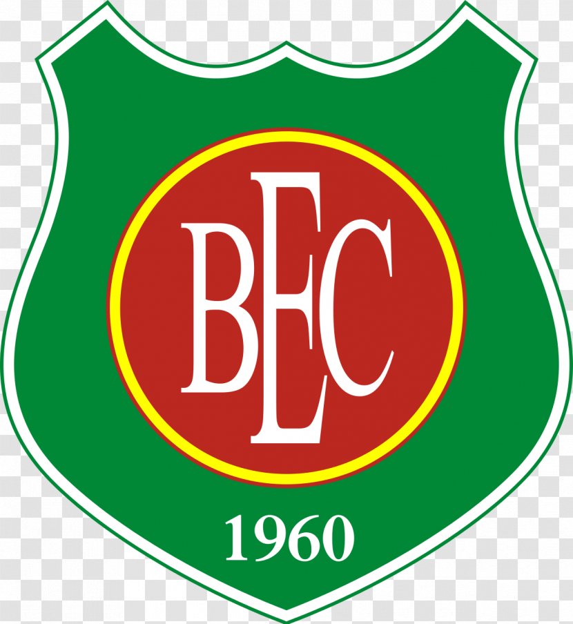 Barretos Esporte Clube Campeonato Paulista Série A3 Associação Atlética Portuguesa - Green - Football Transparent PNG