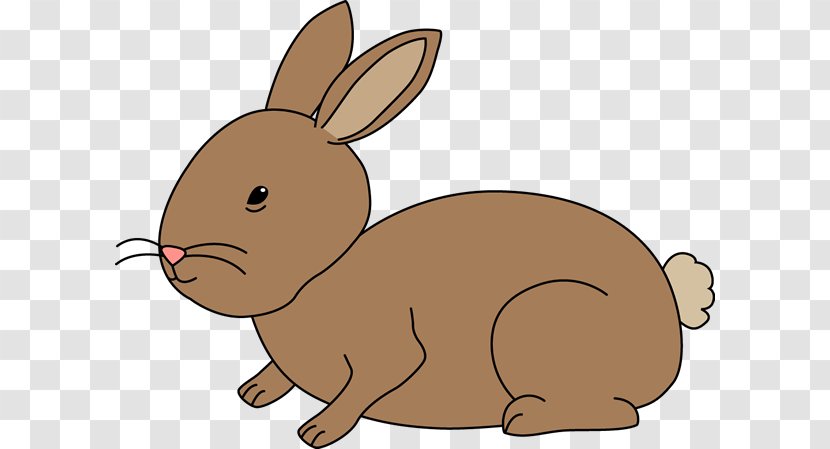 Netherland Dwarf Rabbit Clip Art - Fauna - Cliparts Transparent PNG