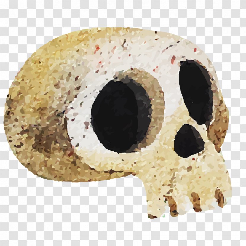 U9ab7u9ac5 - Skull Transparent PNG