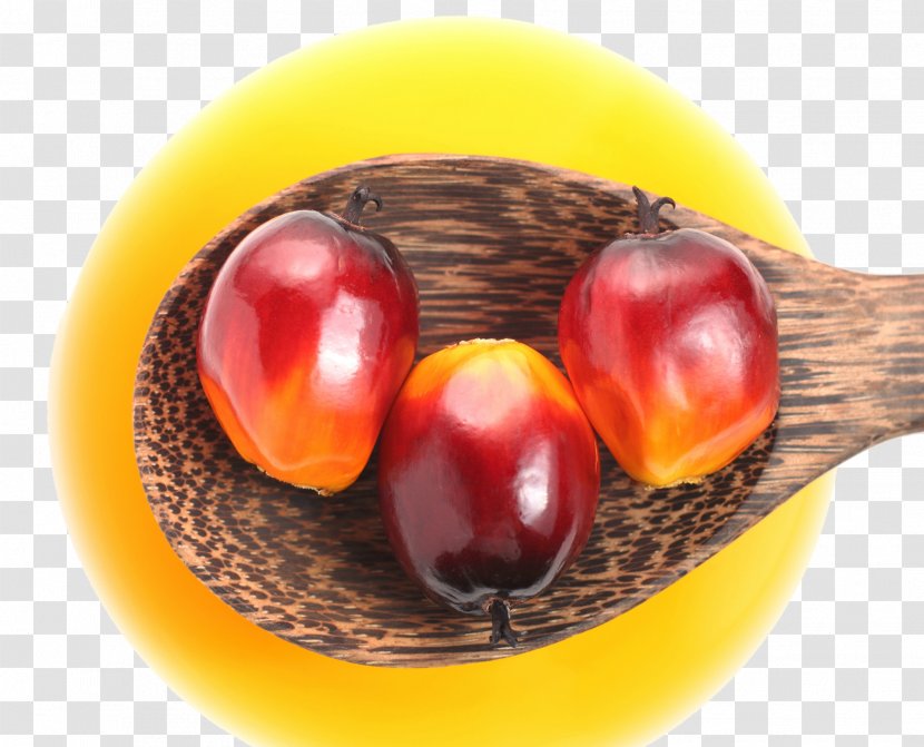 Palm Oil Kernel Petroleum Food - Cooking Transparent PNG