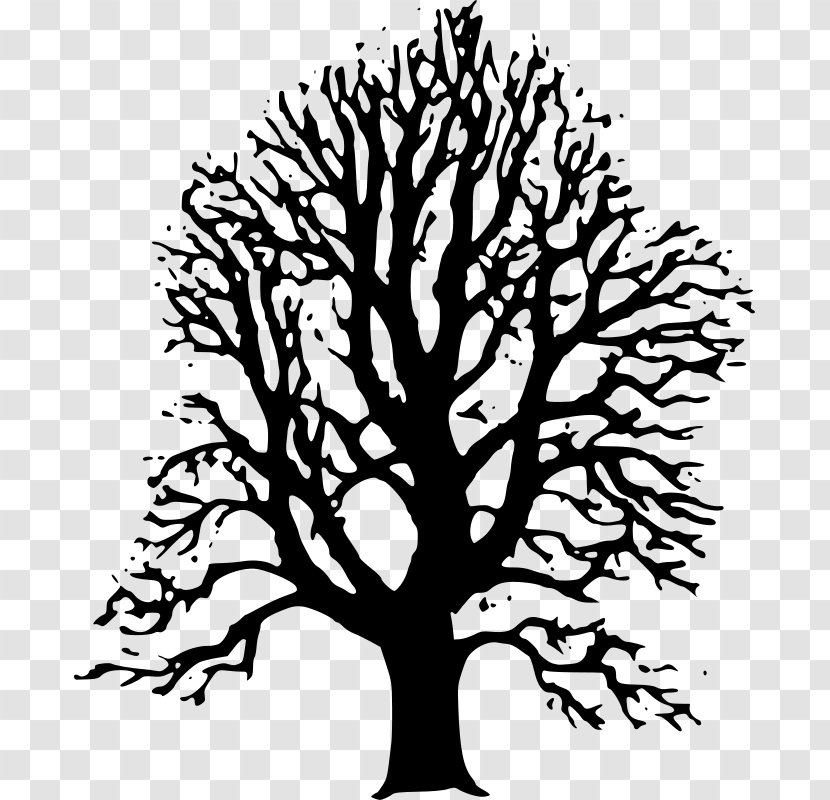 Tree Clip Art - Monochrome - Black Trees Cliparts Transparent PNG