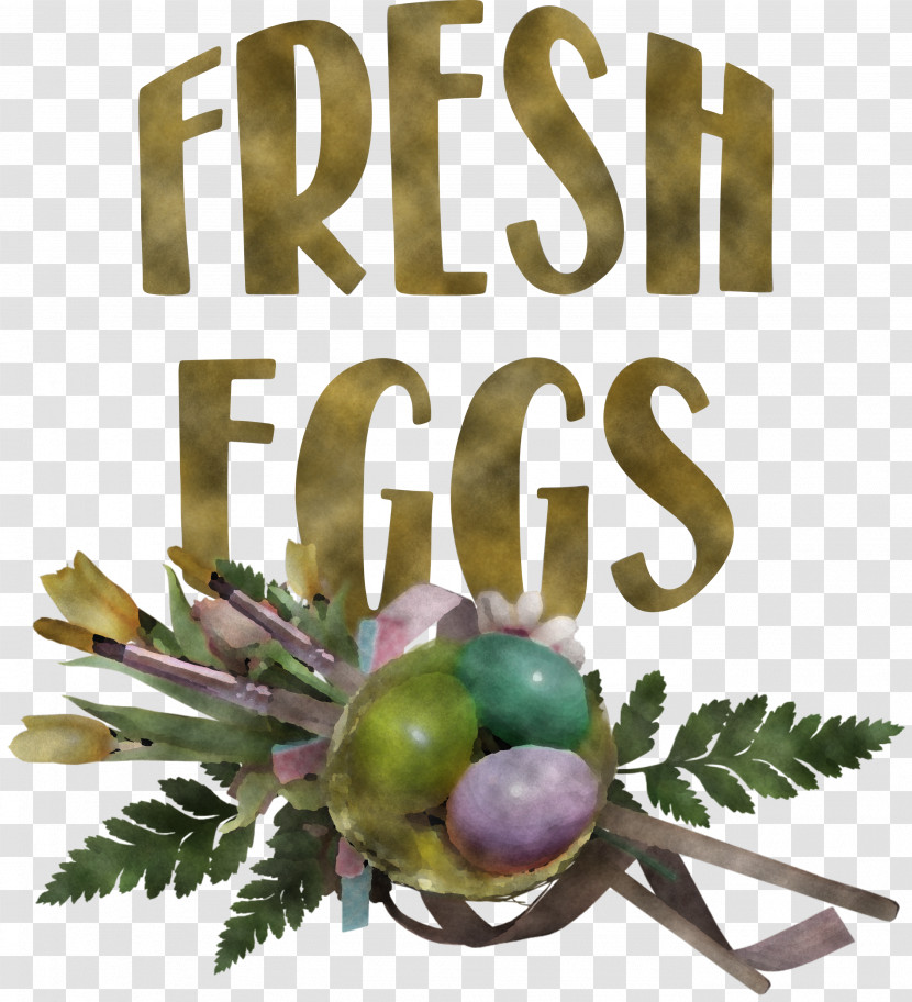 Fresh Eggs Transparent PNG