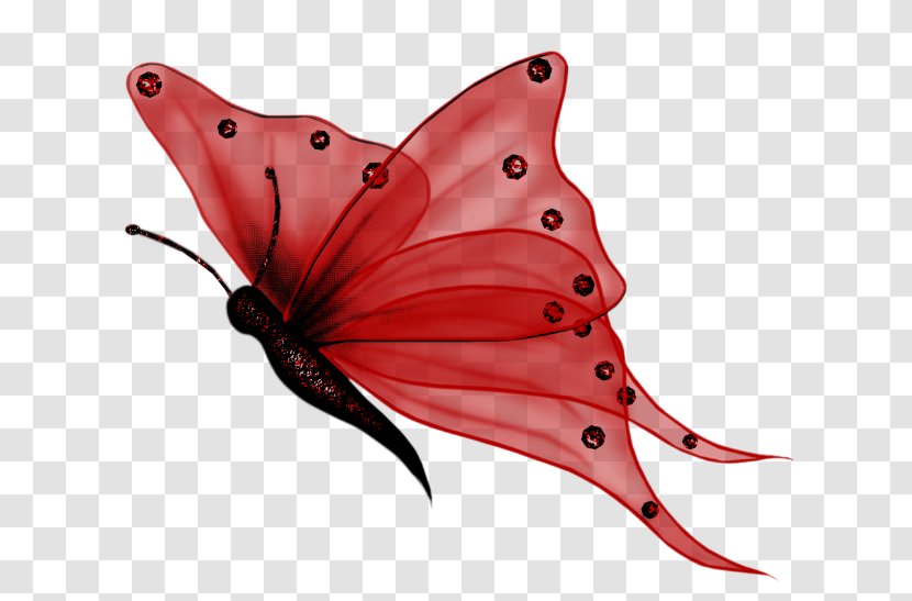 Butterfly Desktop Wallpaper Clip Art - Invertebrate - Buterfly Transparent PNG