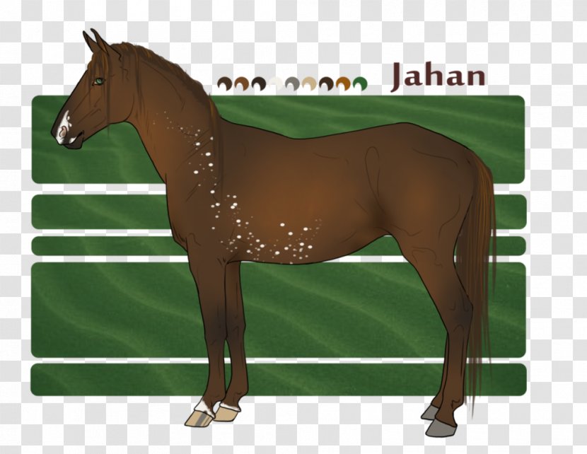Halter Mane Stallion Mustang Mare - Shah Jahan Transparent PNG