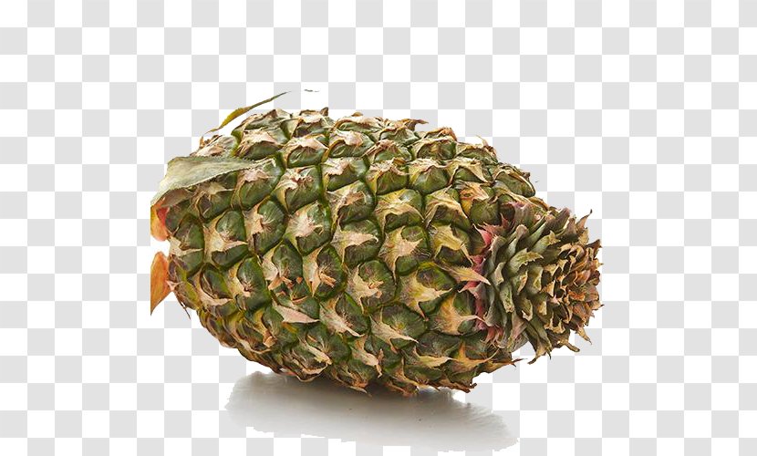 Pineapple - Heart - Organic Transparent PNG