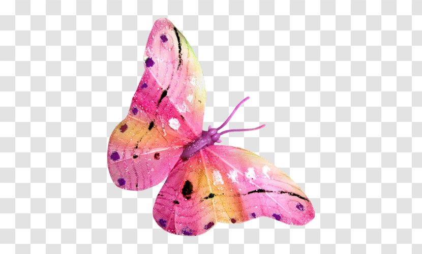 Butterfly Clip Art - Brush Footed Transparent PNG