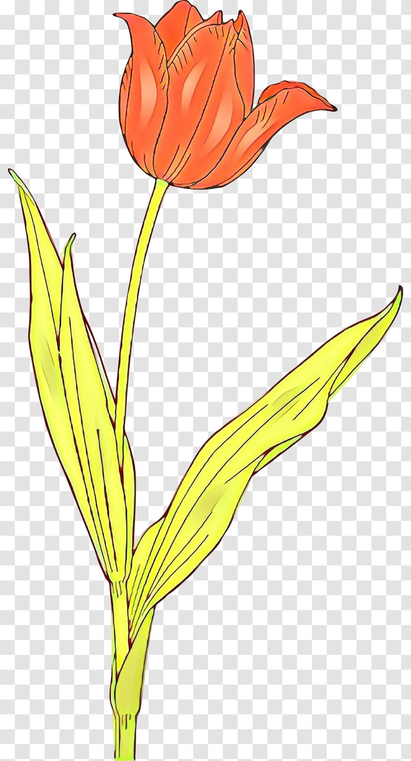 Tulip Clip Art Flower Openclipart Floral Design - Wildflower Transparent PNG