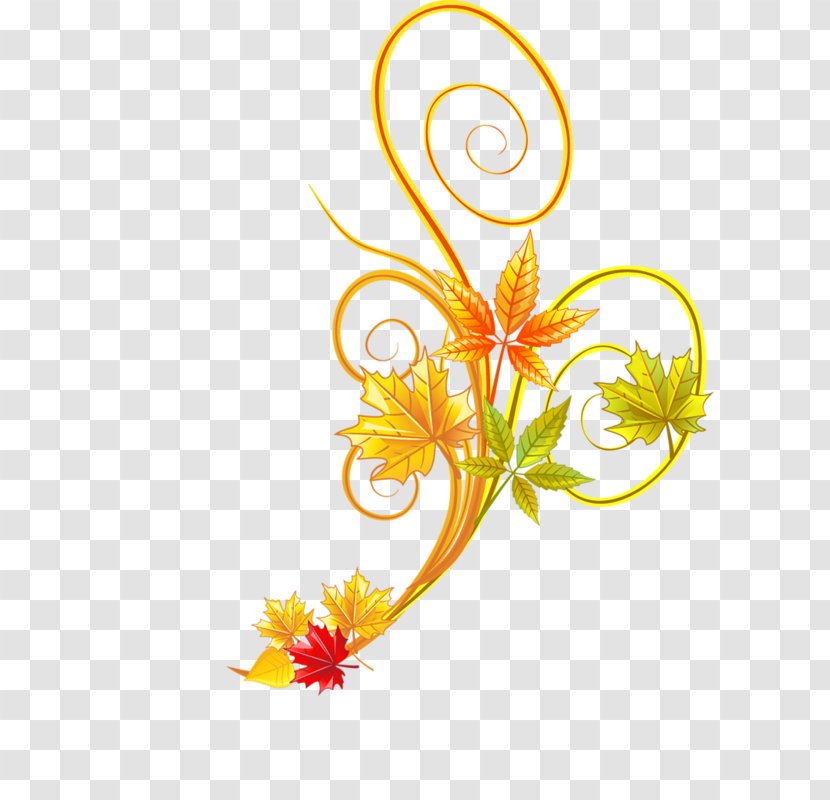Floral Design Plant Flower - Gold Transparent PNG
