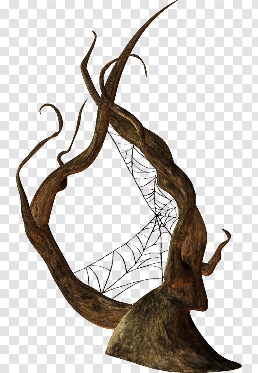 Spider Web Image Twig Message - Goth Icon Transparent PNG