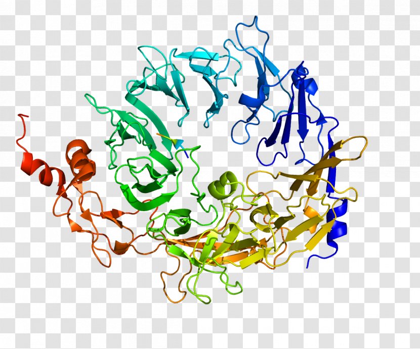 Sortilin 1 PCSK9 Protein Structure Gene Neurotensin Receptor - Apolipoprotein Transparent PNG