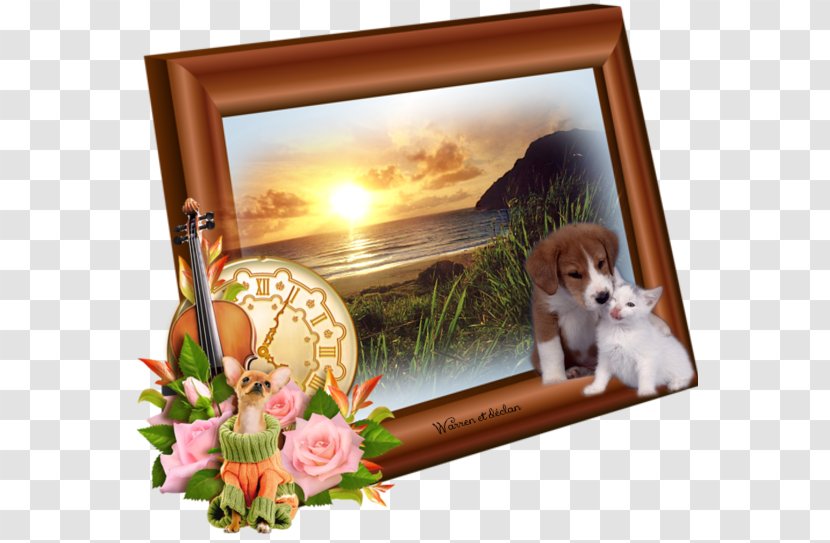 Picture Frames Violin Photography Clip Art - Frame Transparent PNG