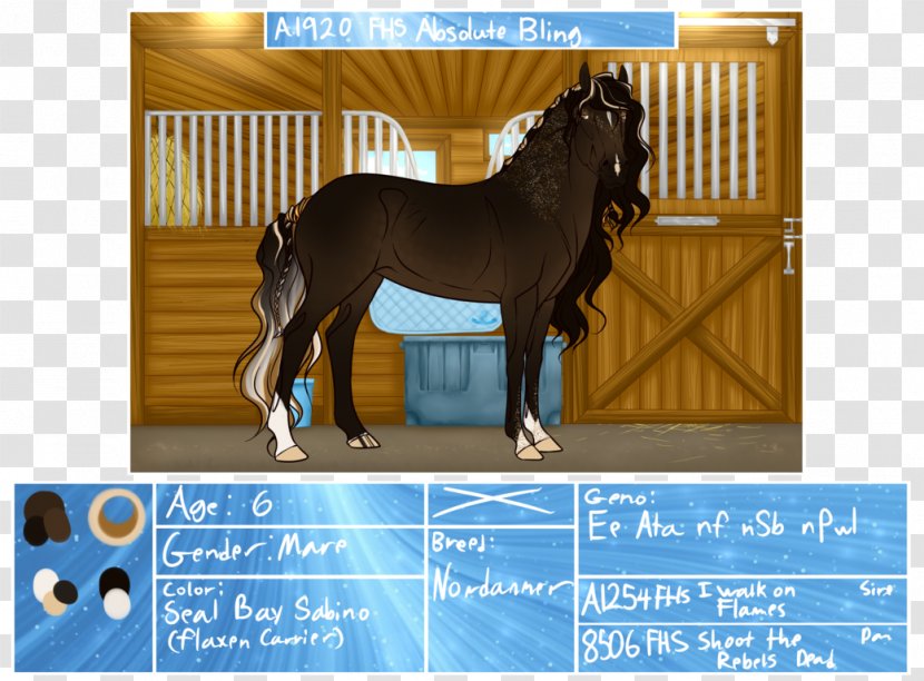 Stallion Foal Mare Pony Mustang - Colt Transparent PNG
