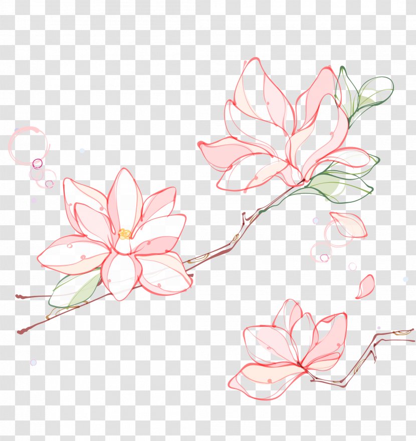 Flower Line - Flowering Plant - Lotus Transparent PNG