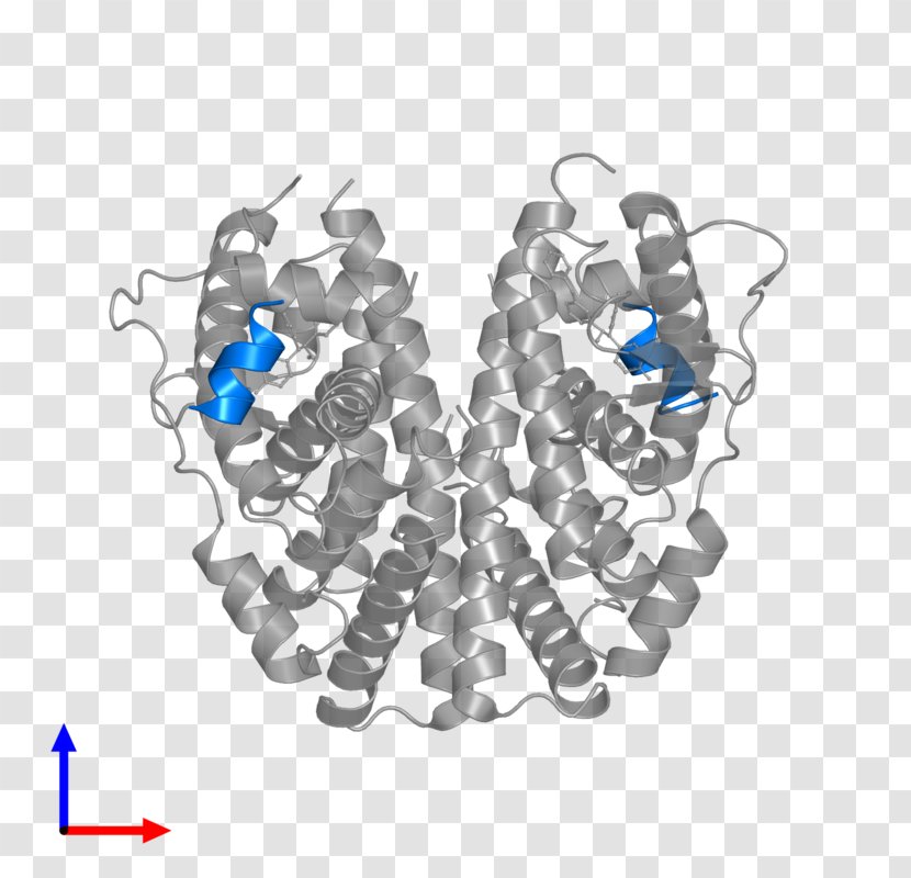 Estrogen Receptor Beta (R,R)-Tetrahydrochrysene - Ligand Binding Assay Transparent PNG