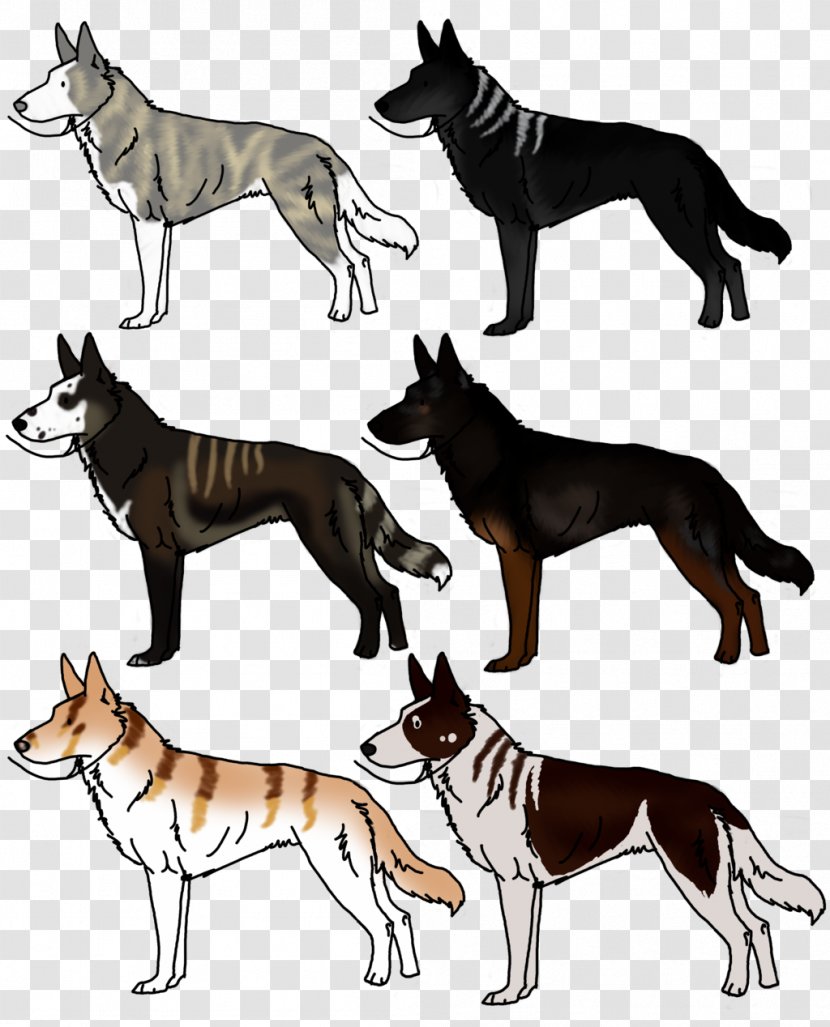 Dog Breed Tail Wildlife Transparent PNG