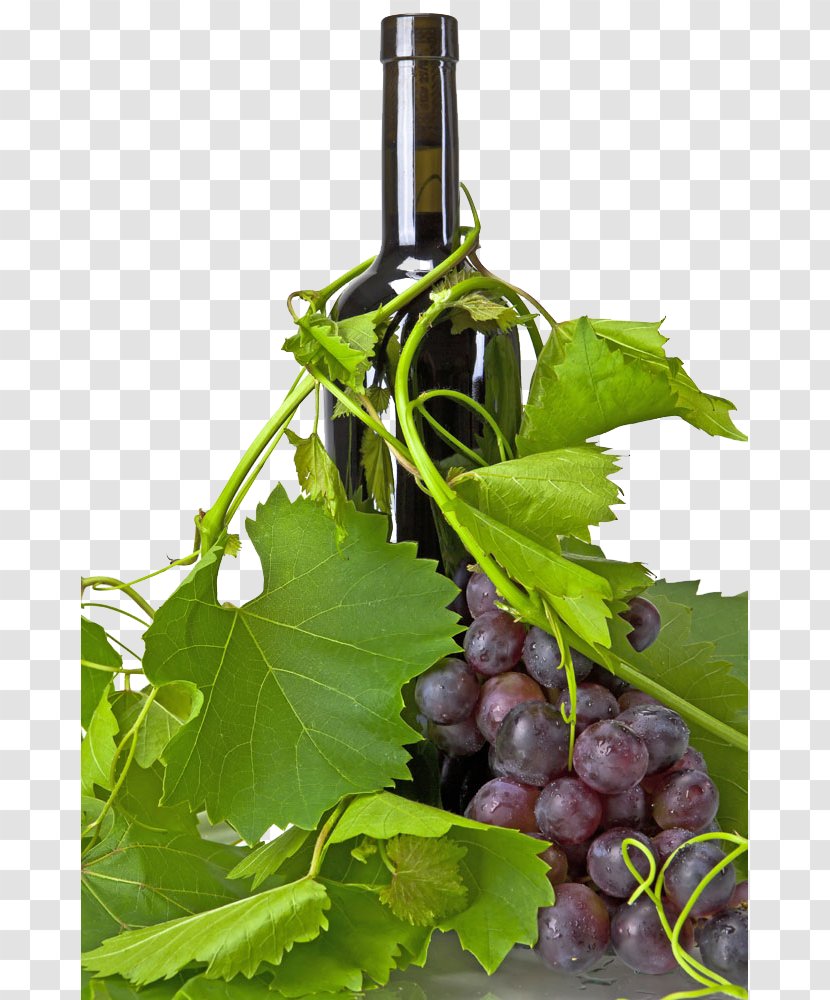 Red Wine Champagne Common Grape Vine - Glass Bottle - Free Material Matting Transparent PNG