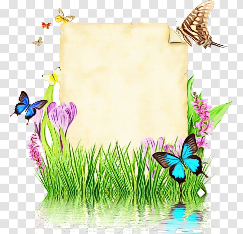 Flower Background Frame - Picture - Morning Glory Transparent PNG