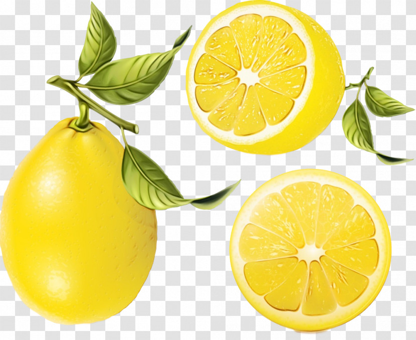 Natural Foods Citrus Persian Lime Lemon Fruit Transparent PNG