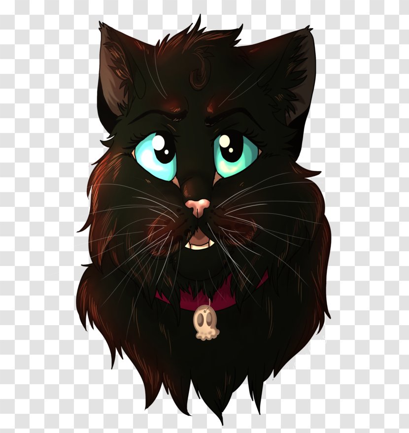 Black Cat Kitten Whiskers Domestic Short-haired - Small To Medium Sized Cats Transparent PNG