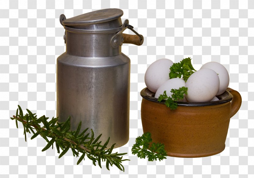 Milk Egg Food Vitamin Health - Flowerpot - Cooking Pot Transparent PNG
