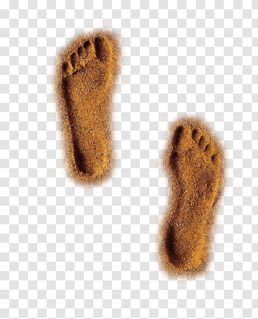 Beach Sand Gratis - Wool - A Pair Of Footprints Transparent PNG
