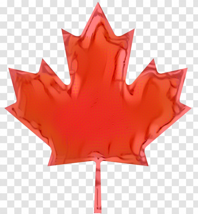 Flag Of Canada National Symbols - Tree - Royaltyfree Transparent PNG