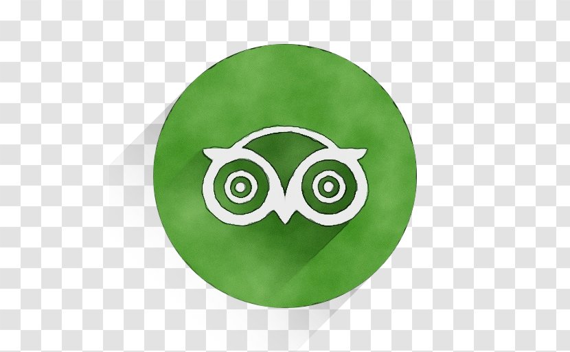 Owl Green Plate Bird Of Prey - Paint - Dishware Symbol Transparent PNG