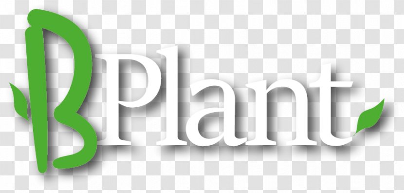 Plants Logo Product Design Font - Home Plant Transparent PNG