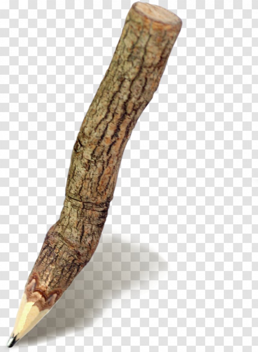 Bark Tree Pencil - Posters Trees Theme Warm Winter Deals Transparent PNG