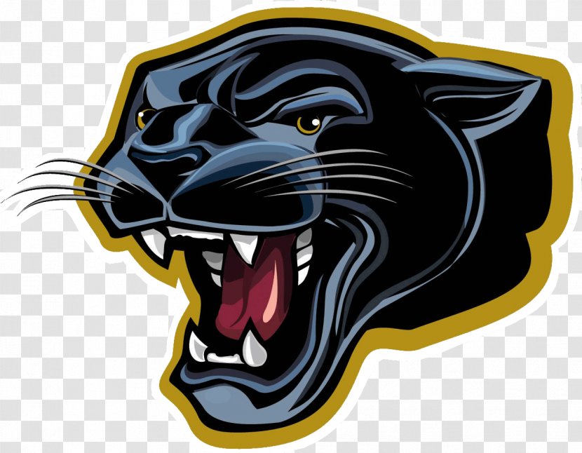 Parkway High School Marion Local Cromwell National Secondary - Black Panther Transparent PNG