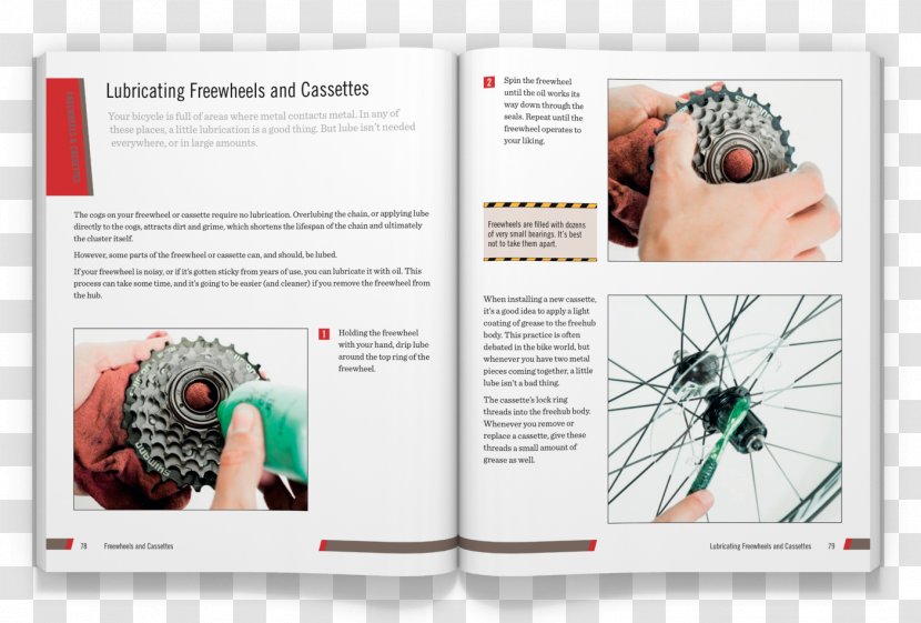 Graphic Design Advertising - Brochure Transparent PNG