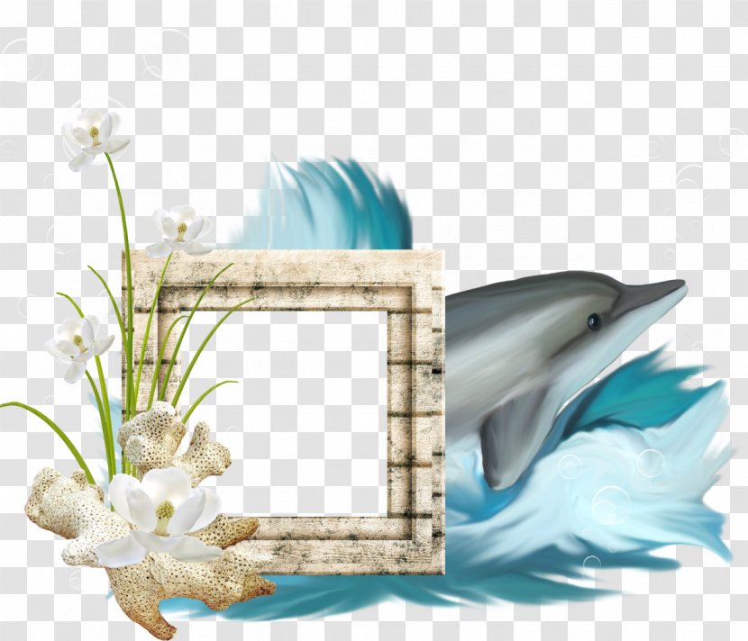 Picture Frames Clip Art - Beach - Flower Transparent PNG