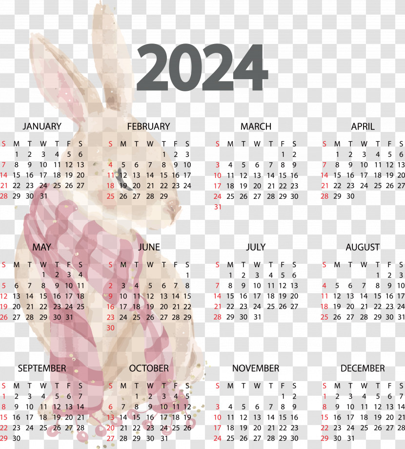 2023 New Year Calendar 2024 Names Of The Days Of The Week Week Transparent PNG