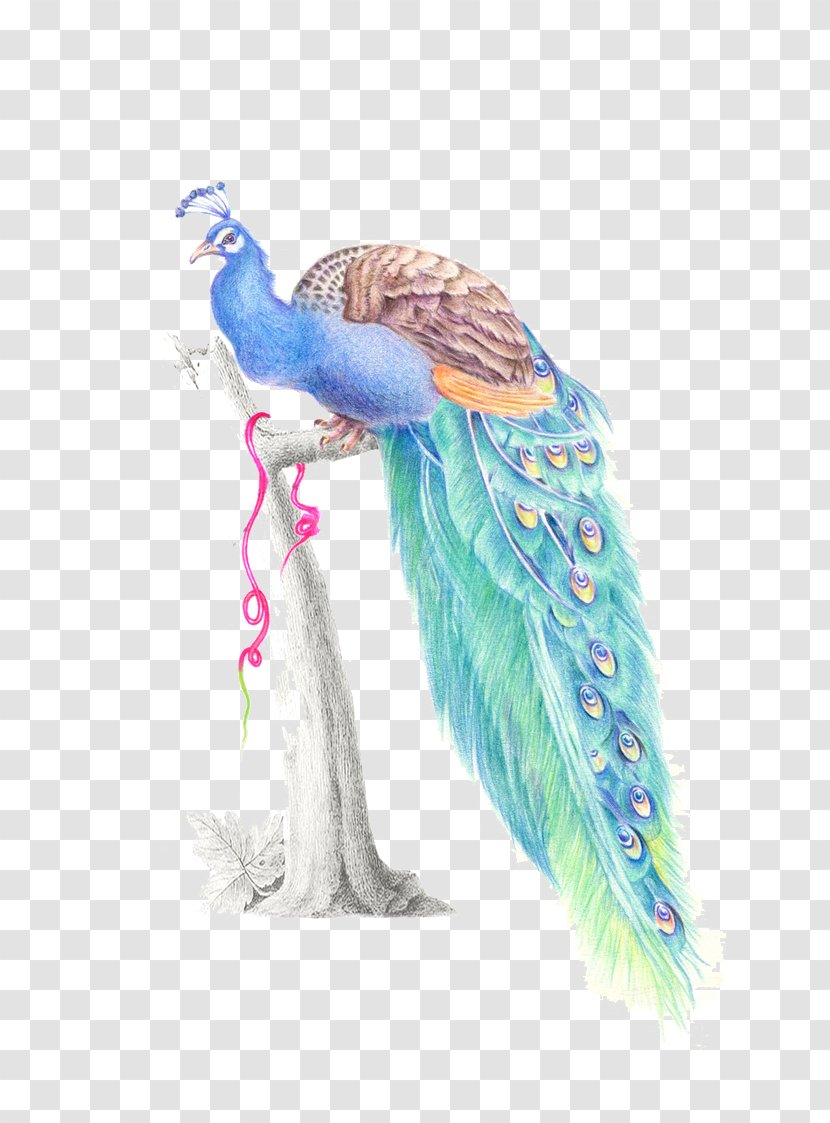 Feather Watercolor Painting Peafowl - Peacock Transparent PNG