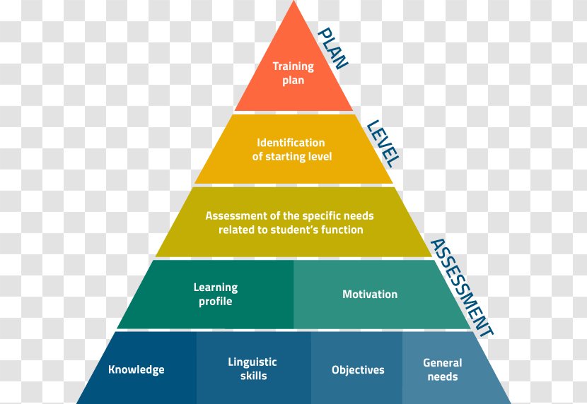 Pyramid Business Administration Diagram Management - Training Development Program Transparent PNG