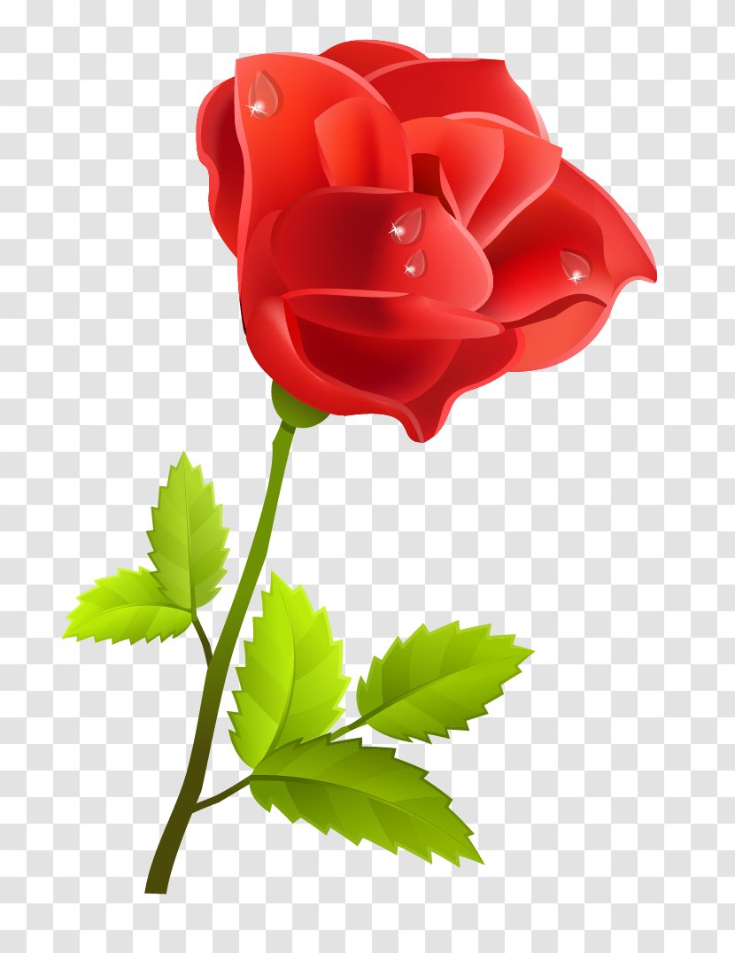 Rose Clip Art - Garden Roses Transparent PNG