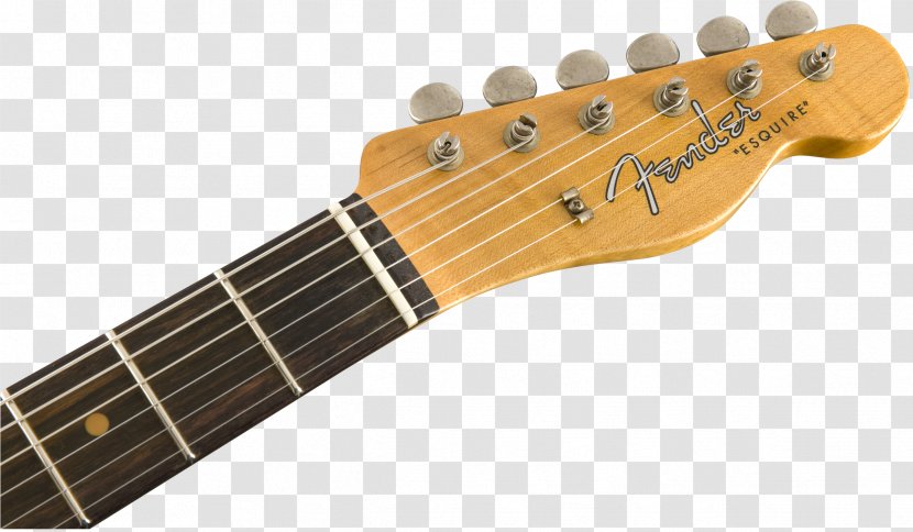 Fender Stratocaster Stevie Ray Vaughan Telecaster Musical Instruments Corporation Guitar - Accessory Transparent PNG