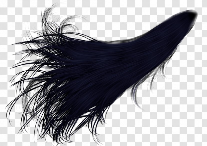 Hair Coloring Ponytail Desktop Wallpaper - Display Resolution - Long Curly Transparent PNG